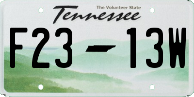 TN license plate F2313W