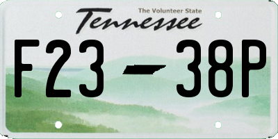 TN license plate F2338P