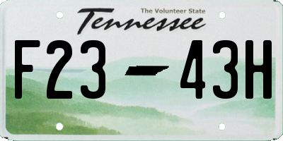 TN license plate F2343H