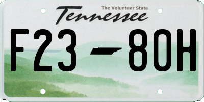 TN license plate F2380H