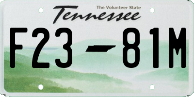 TN license plate F2381M