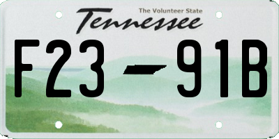 TN license plate F2391B