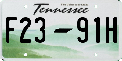 TN license plate F2391H