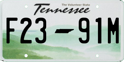 TN license plate F2391M