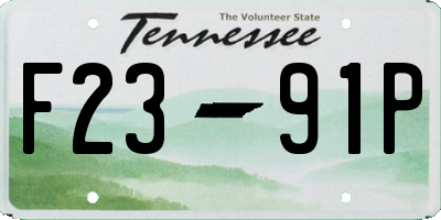 TN license plate F2391P