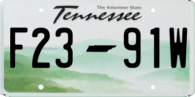 TN license plate F2391W