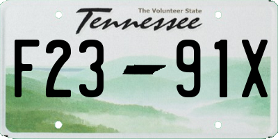 TN license plate F2391X