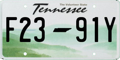 TN license plate F2391Y