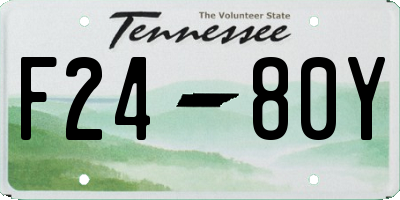 TN license plate F2480Y