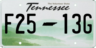 TN license plate F2513G