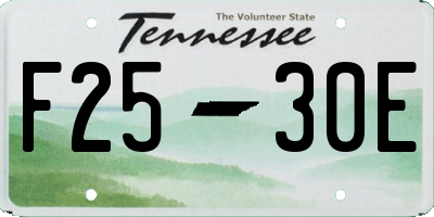 TN license plate F2530E