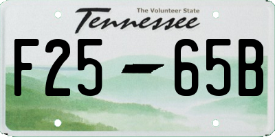 TN license plate F2565B
