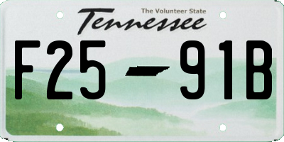TN license plate F2591B