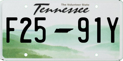 TN license plate F2591Y