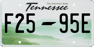 TN license plate F2595E