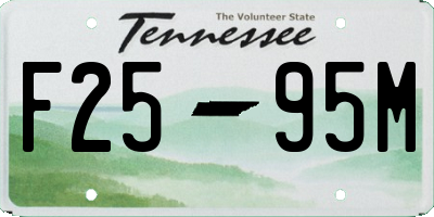 TN license plate F2595M