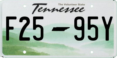 TN license plate F2595Y