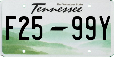 TN license plate F2599Y