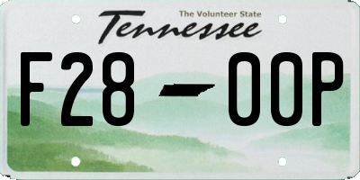 TN license plate F2800P