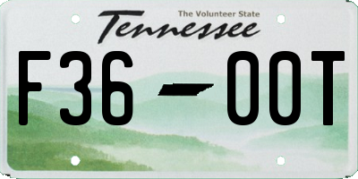TN license plate F3600T