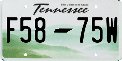 TN license plate F5875W