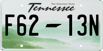TN license plate F6213N