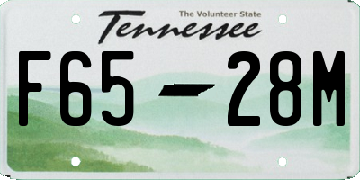 TN license plate F6528M