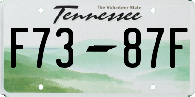 TN license plate F7387F