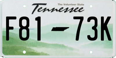 TN license plate F8173K