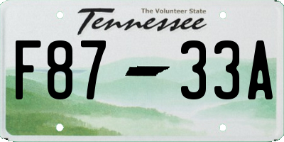 TN license plate F8733A