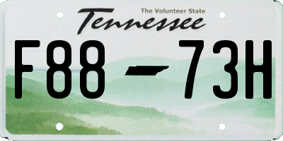 TN license plate F8873H