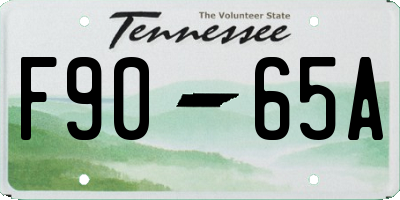 TN license plate F9065A