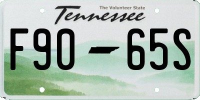 TN license plate F9065S