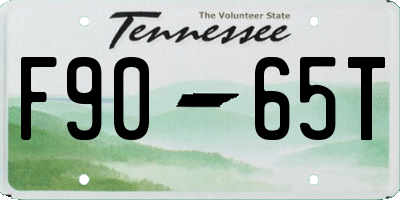 TN license plate F9065T