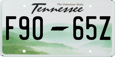 TN license plate F9065Z