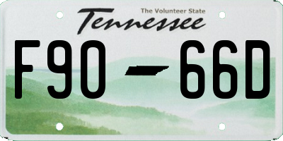 TN license plate F9066D