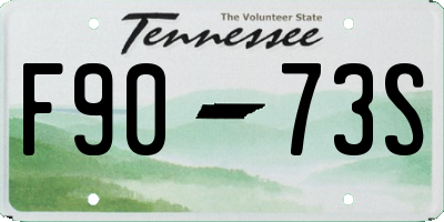 TN license plate F9073S
