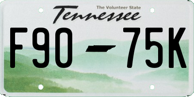 TN license plate F9075K