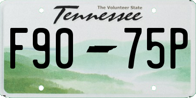 TN license plate F9075P