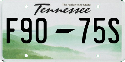 TN license plate F9075S