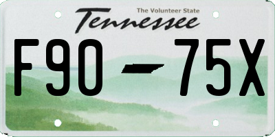TN license plate F9075X