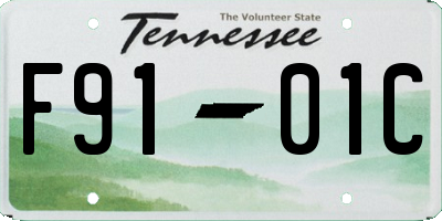 TN license plate F9101C