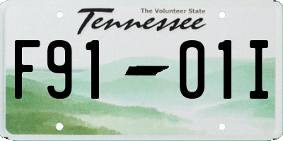 TN license plate F9101I