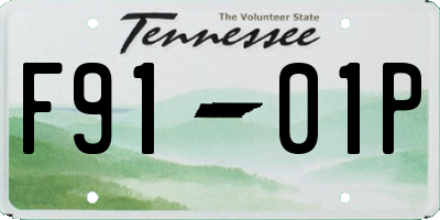 TN license plate F9101P