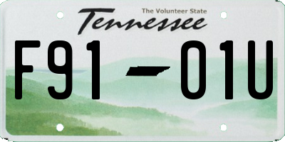 TN license plate F9101U