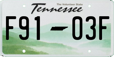 TN license plate F9103F