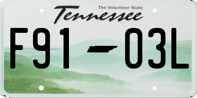TN license plate F9103L