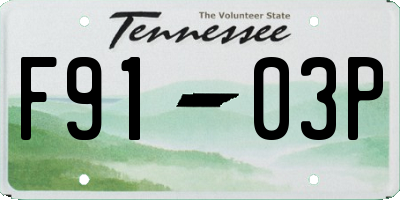 TN license plate F9103P