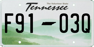 TN license plate F9103Q