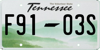 TN license plate F9103S